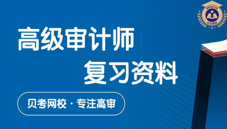 2027年高级审计师财政预算管理情况审计复习资料